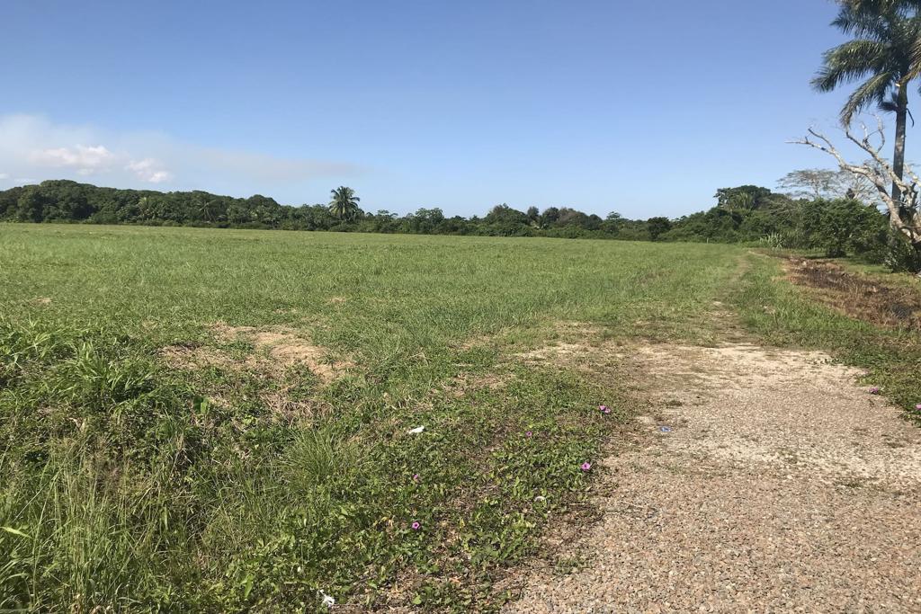 listing image with ID 33350