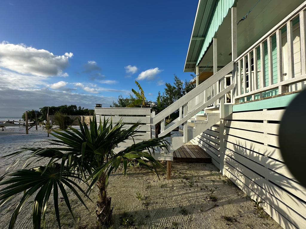 listing image with ID 35029