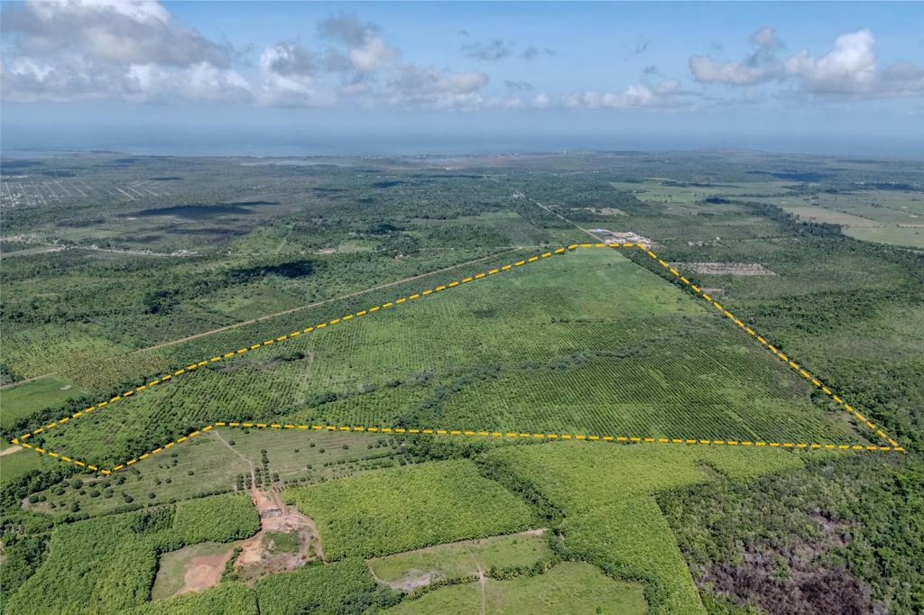 listing image with ID 33594