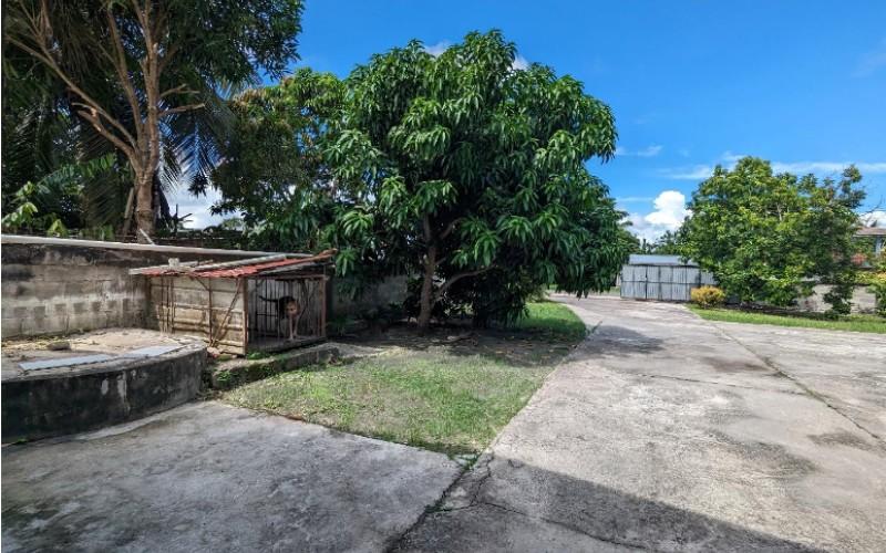 listing image with ID 33409