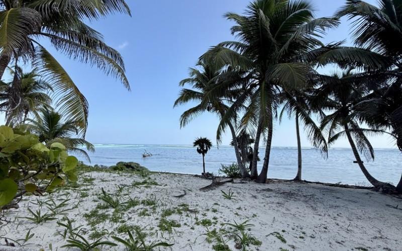 listing image with ID 35081