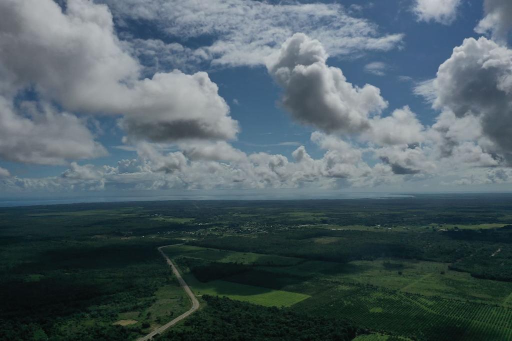 listing image with ID 33499