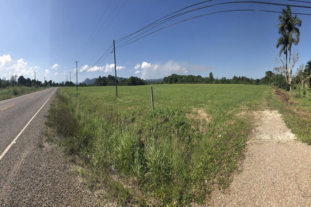 listing image with ID 33351