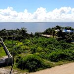 listing image thumbnail with ID 33401