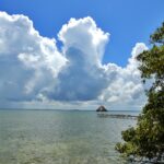 listing image thumbnail with ID 33393