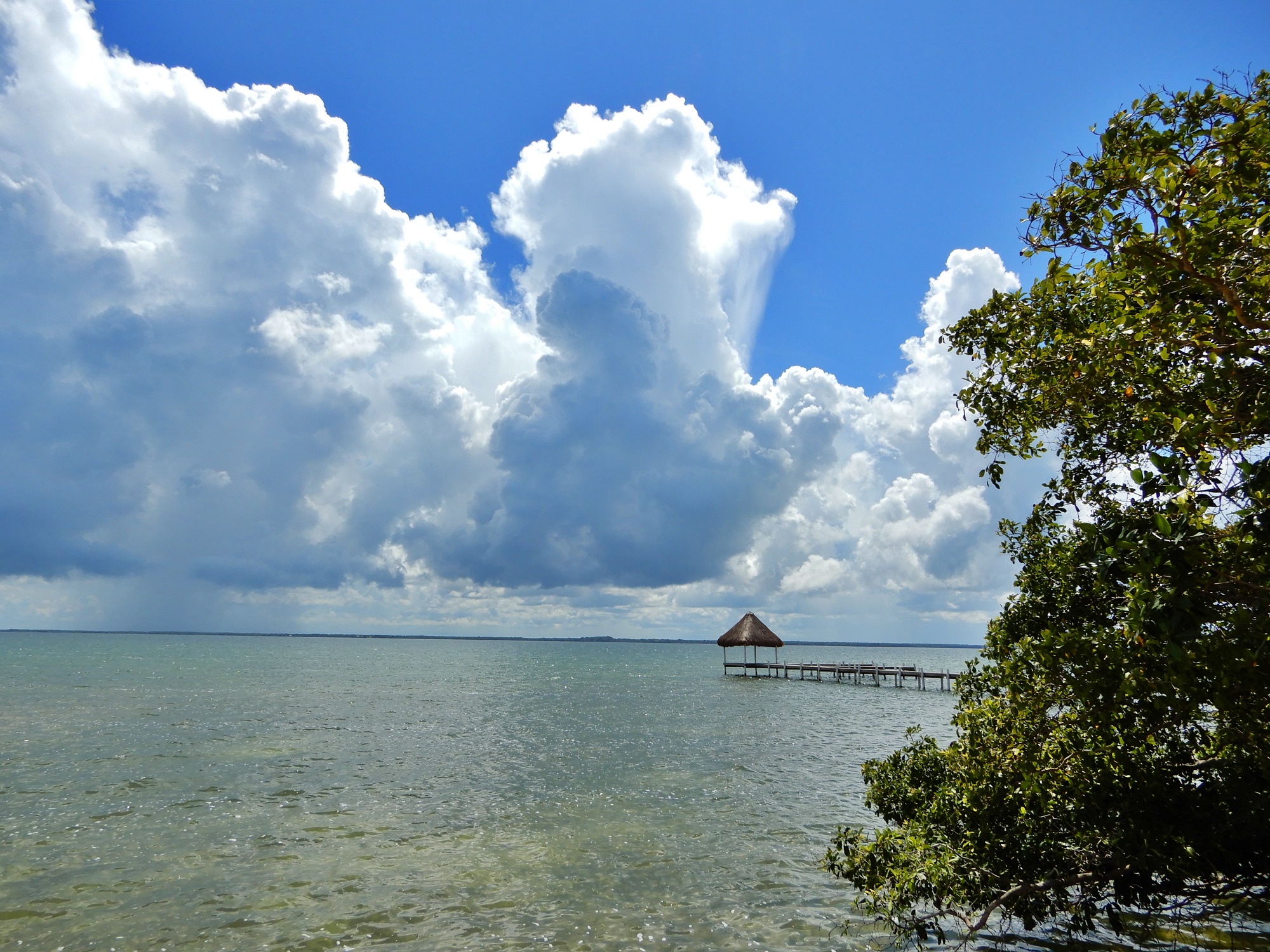 listing image with ID 33393
