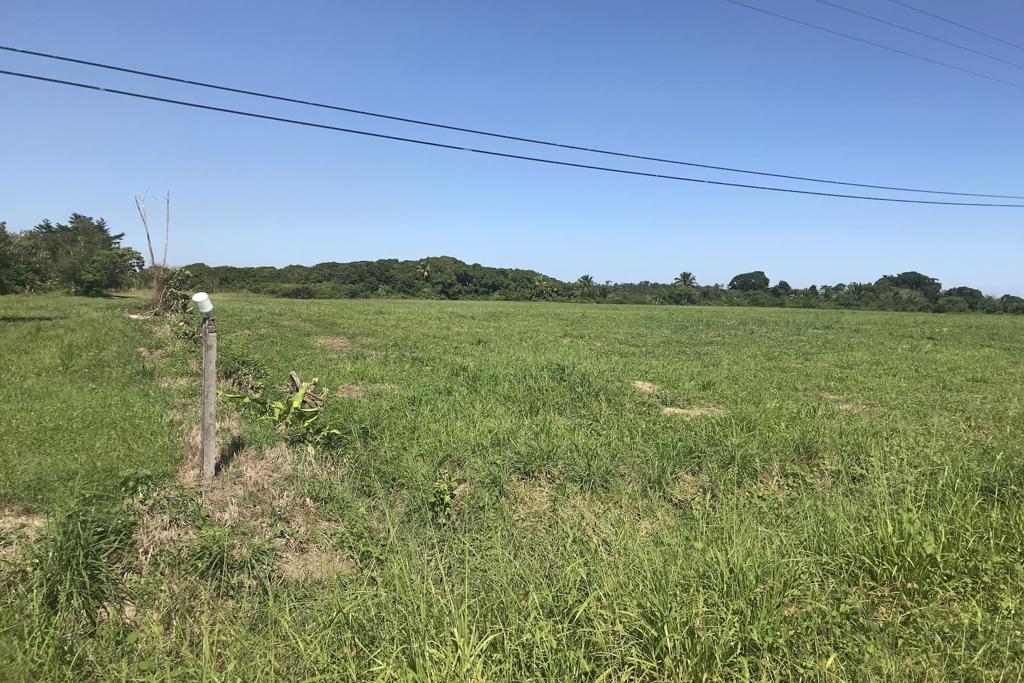 listing image with ID 33354