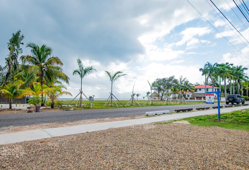 listing image with ID 35271