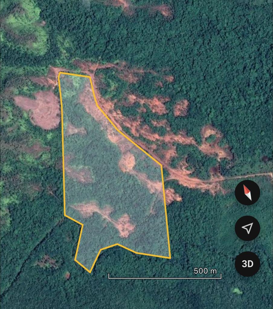 listing image with ID 36335