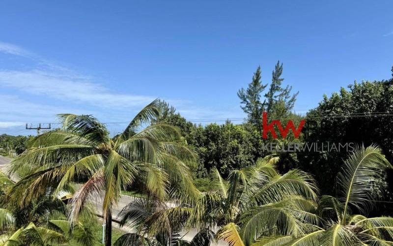 listing image with ID 35824