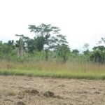 listing image thumbnail with ID 36152