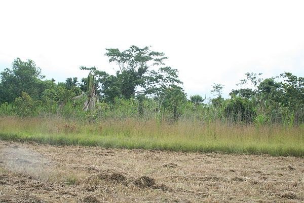 listing image with ID 36139