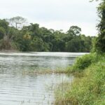 listing image thumbnail with ID 36156