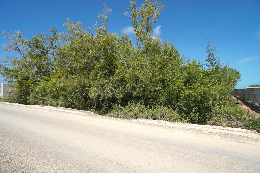 listing image with ID 36016