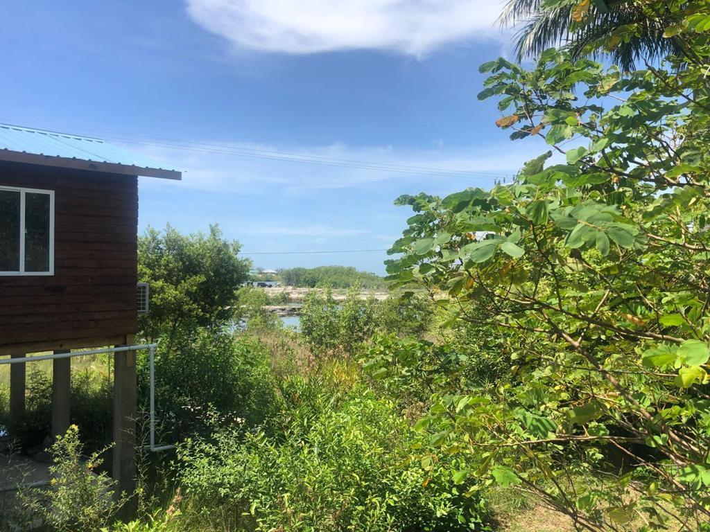 listing image with ID 35438