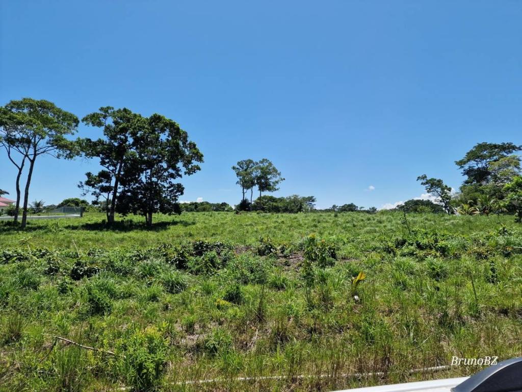 listing image with ID 43647