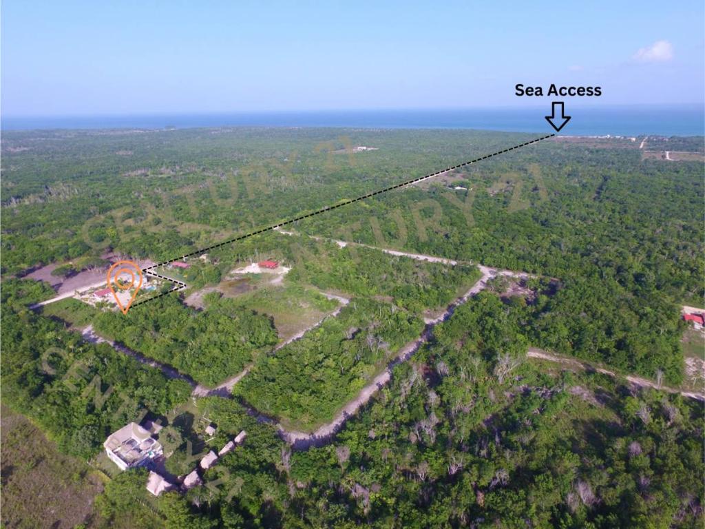 listing image with ID 42583