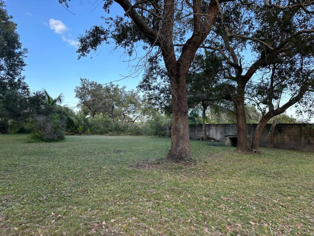 listing image with ID 40850
