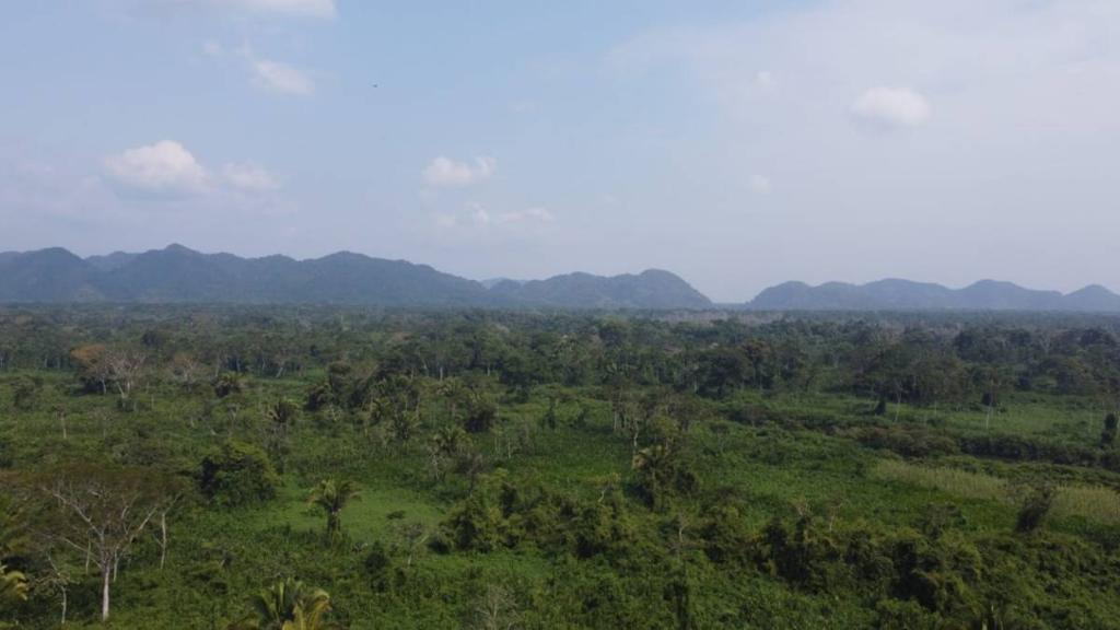 listing image with ID 41994