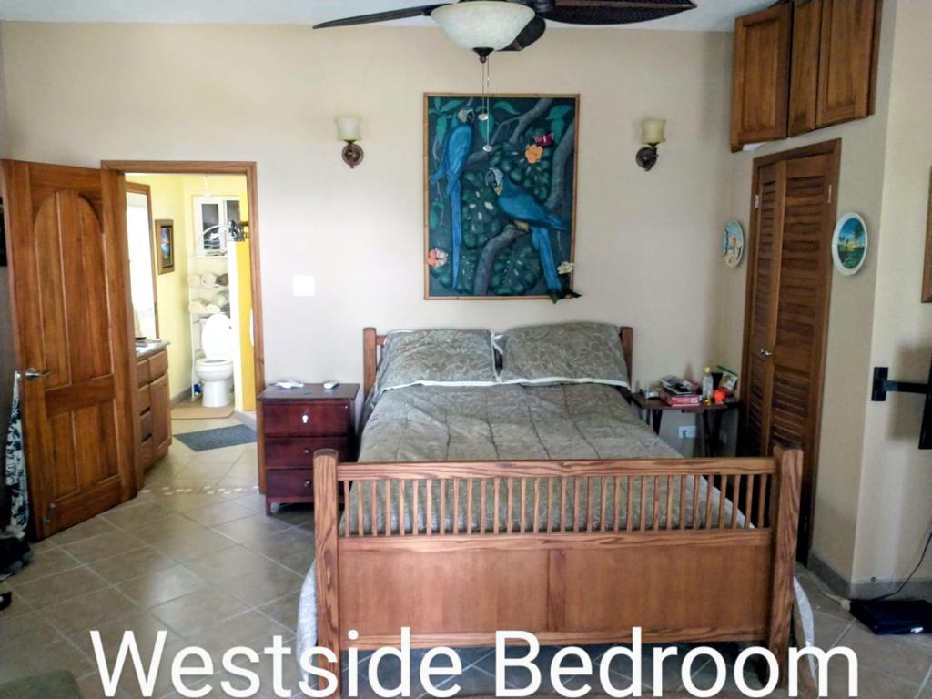 listing image with ID 38715