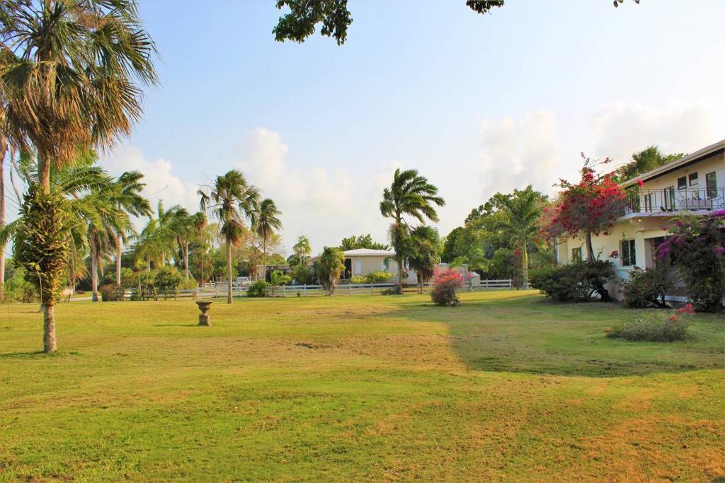 listing image with ID 40096