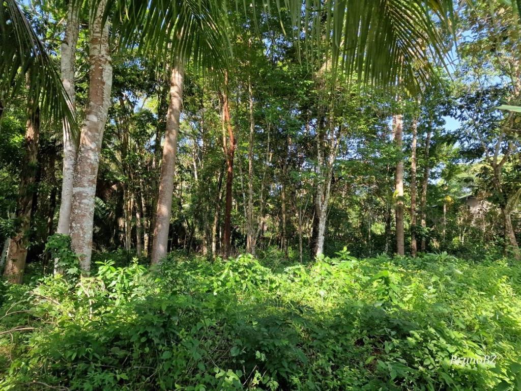 listing image with ID 42009