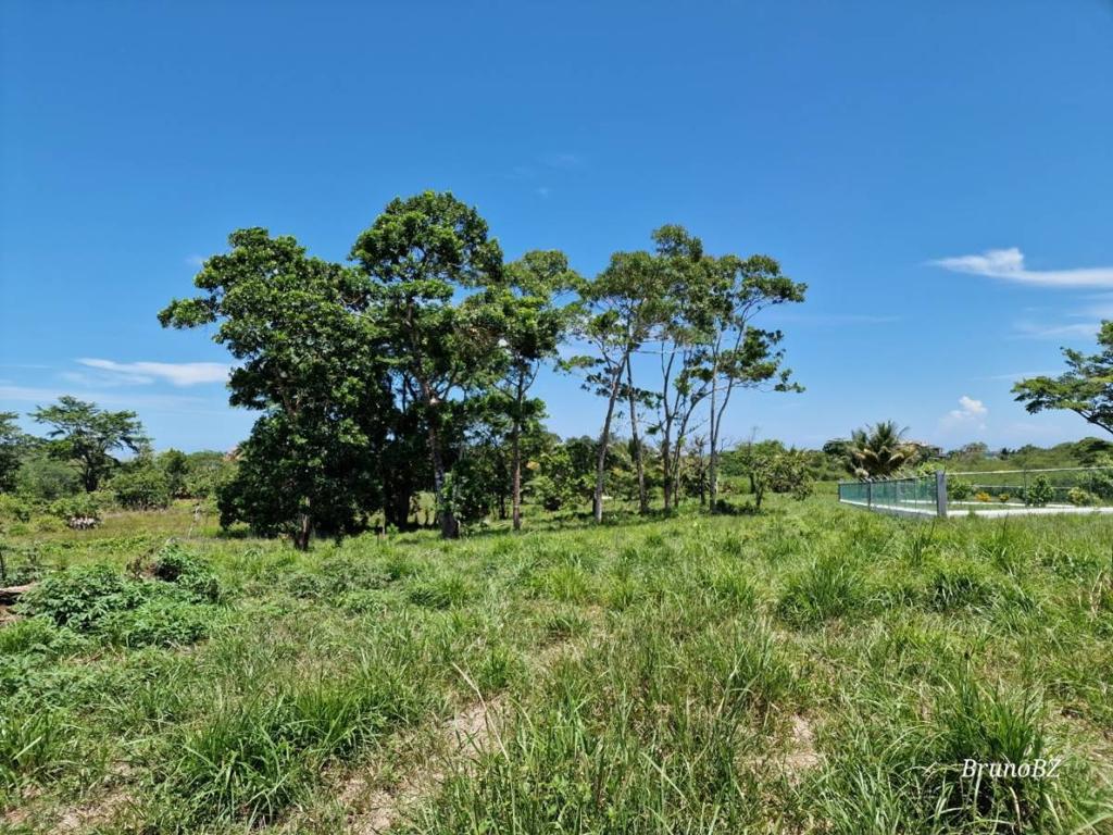 listing image with ID 43638
