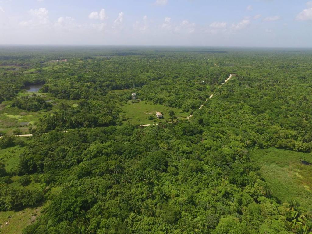 listing image with ID 43395