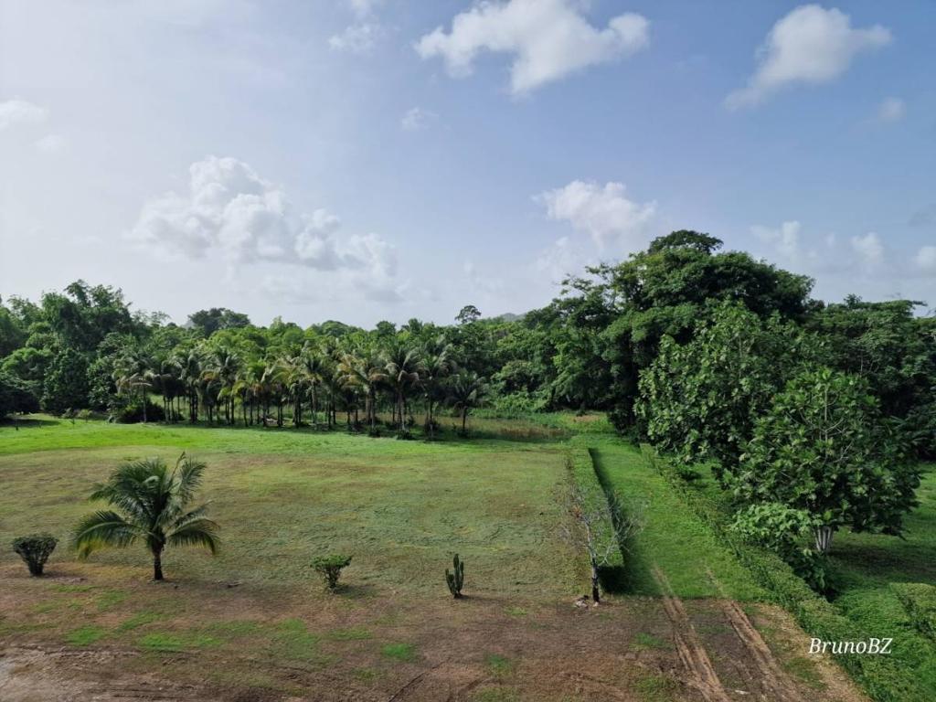 listing image with ID 46403