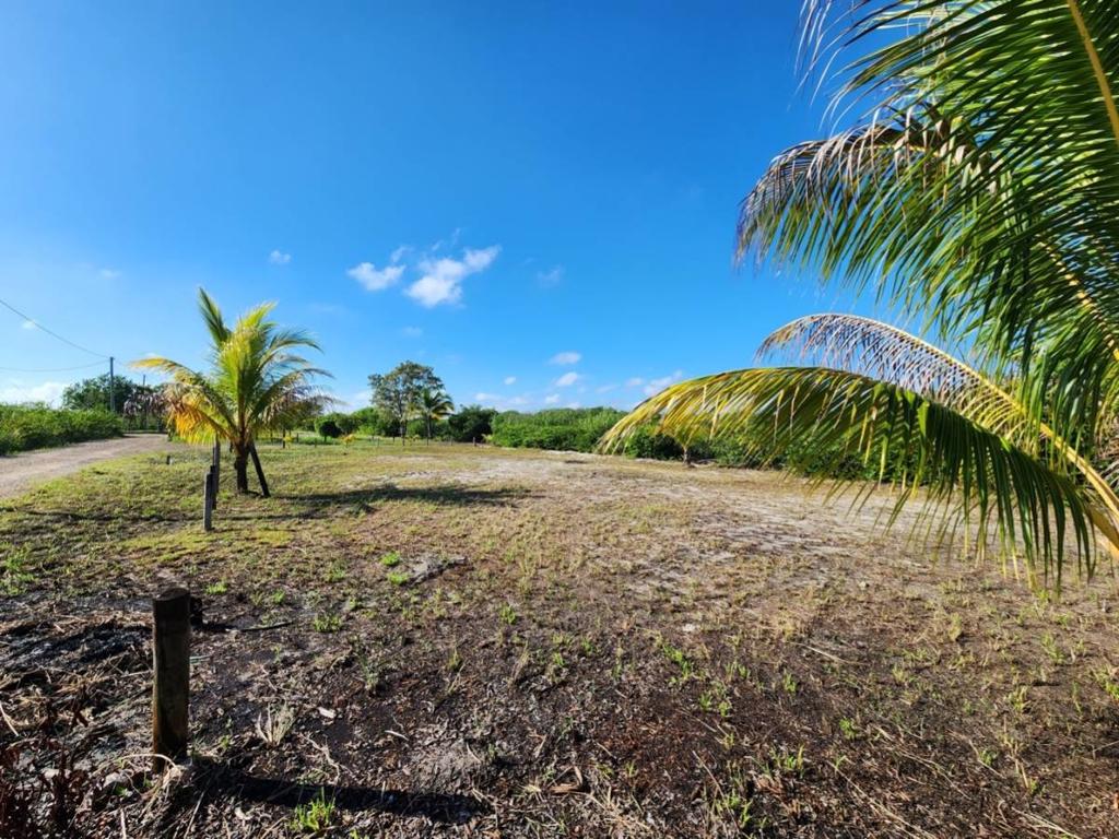 listing image with ID 40564