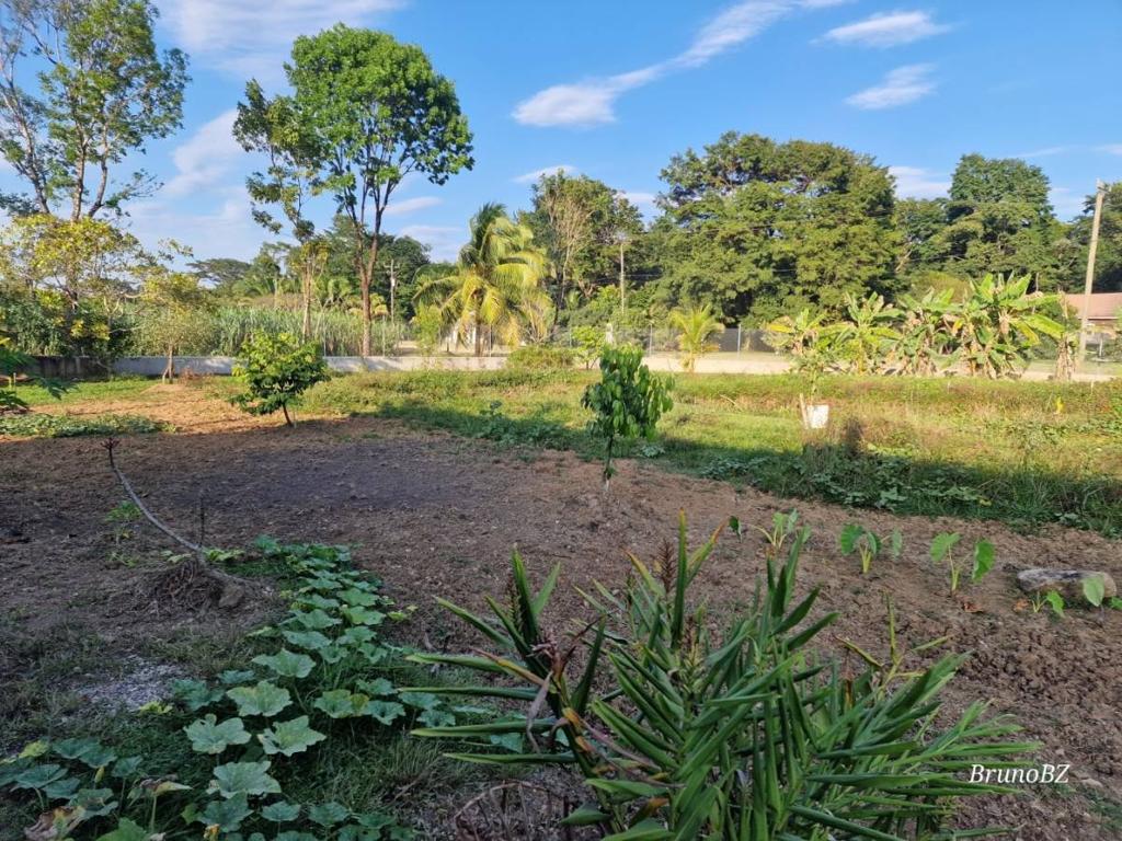 listing image with ID 45000