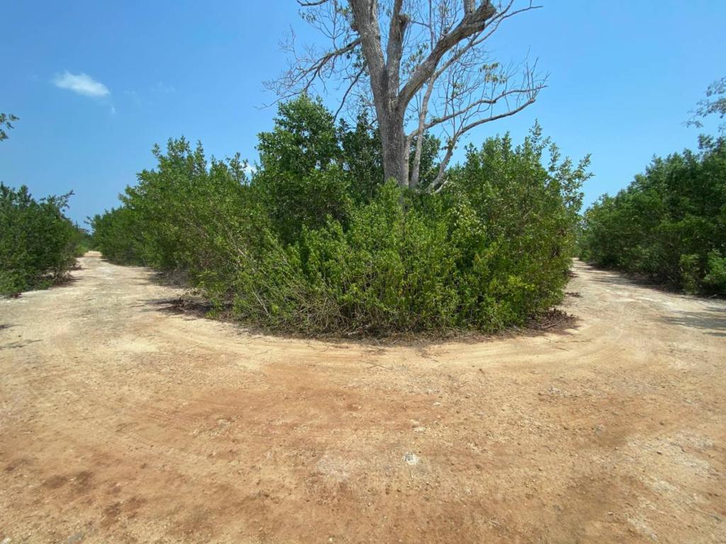 listing image with ID 43011