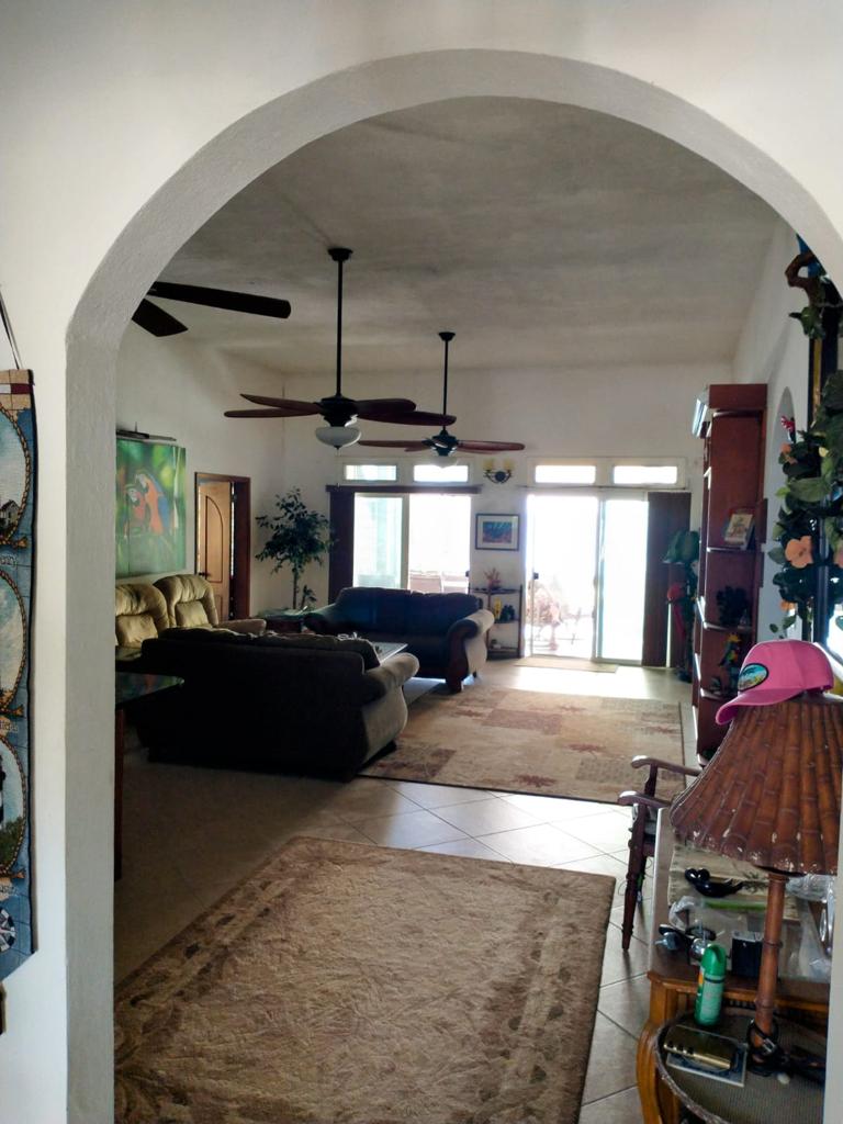 listing image with ID 38712