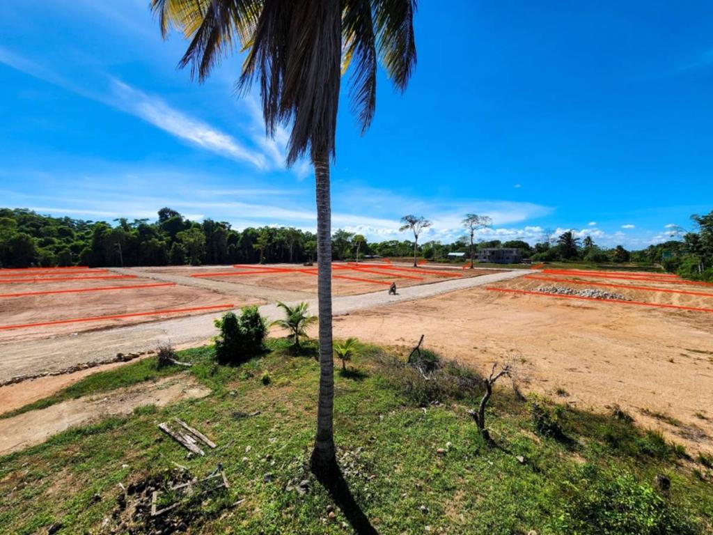 listing image with ID 42947