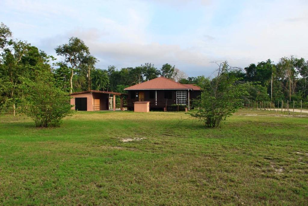 listing image with ID 41363