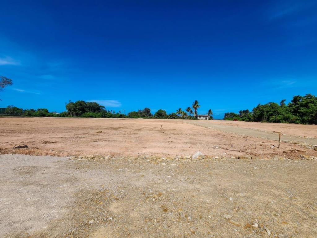 listing image with ID 42969
