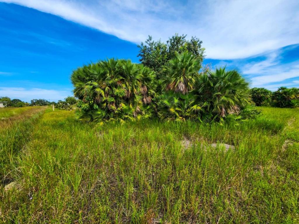 listing image with ID 43290