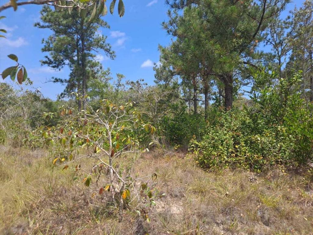 listing image with ID 40517