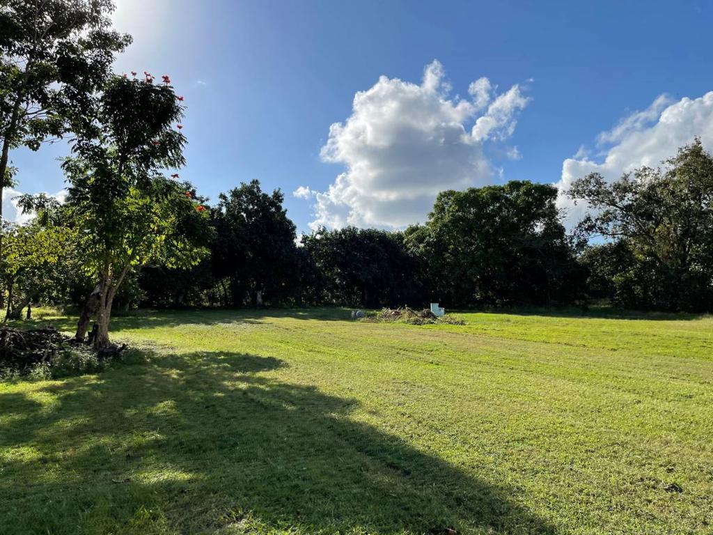 listing image with ID 41002