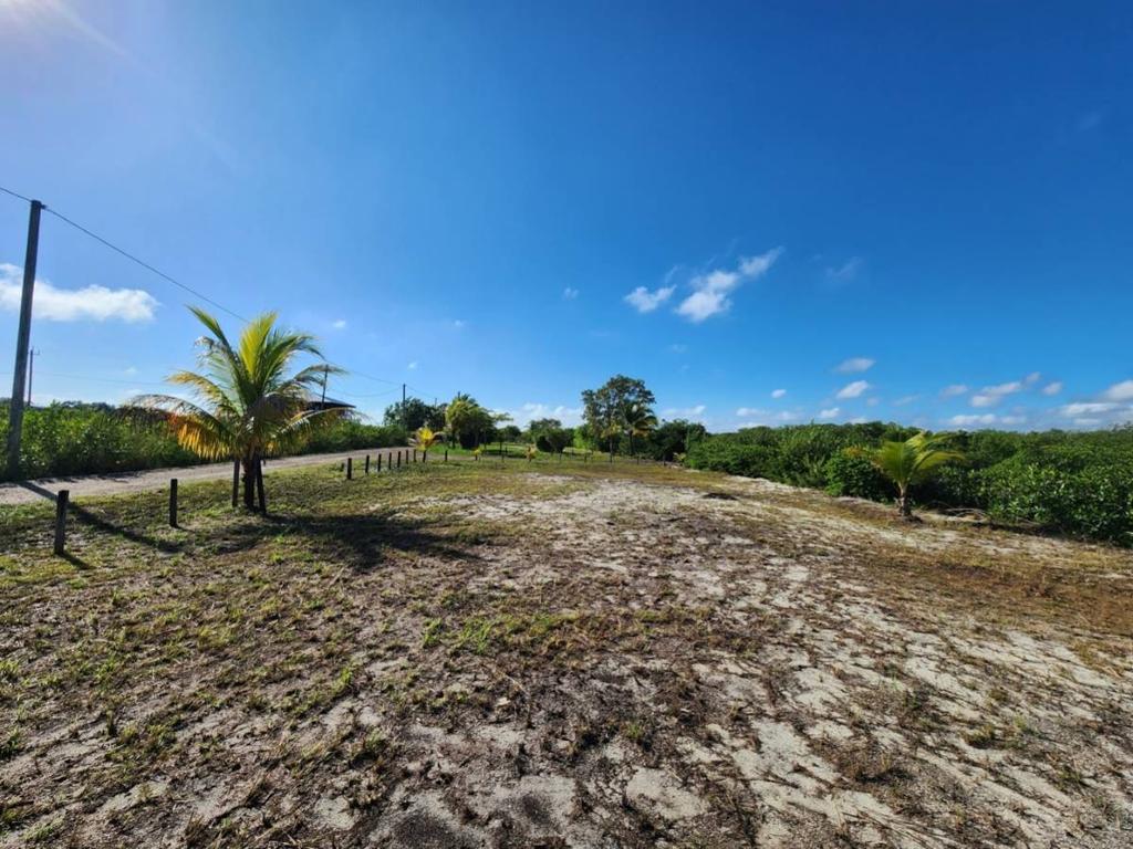 listing image with ID 40565