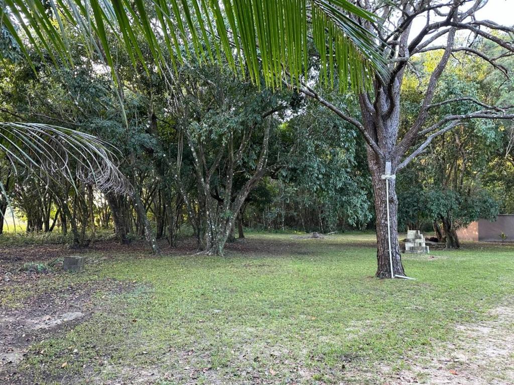 listing image with ID 40847