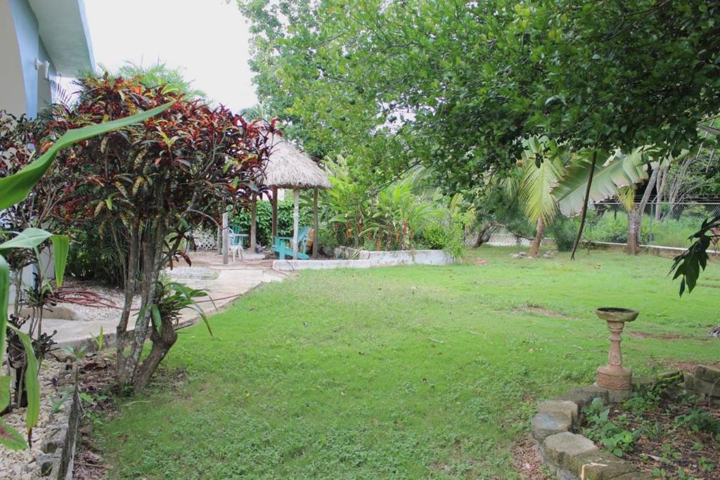 listing image with ID 40628