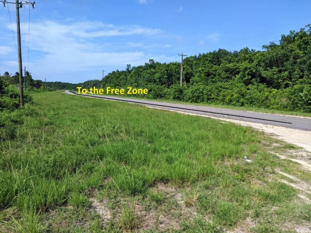 listing image with ID 43588