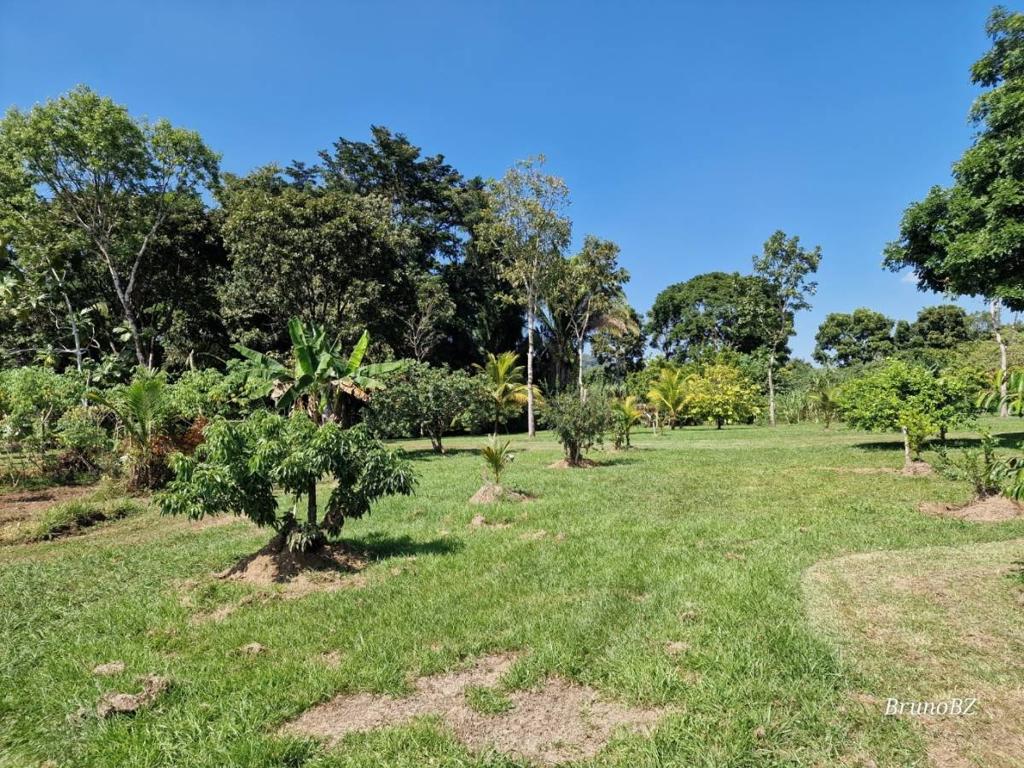 listing image with ID 45002