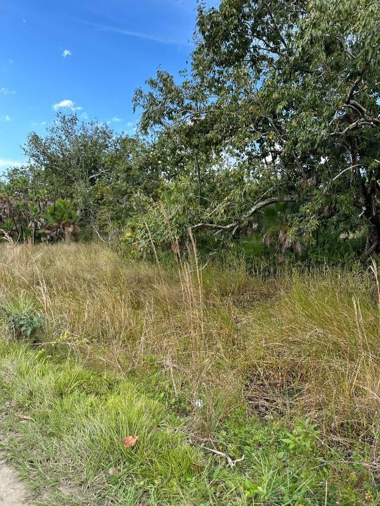 listing image with ID 44118