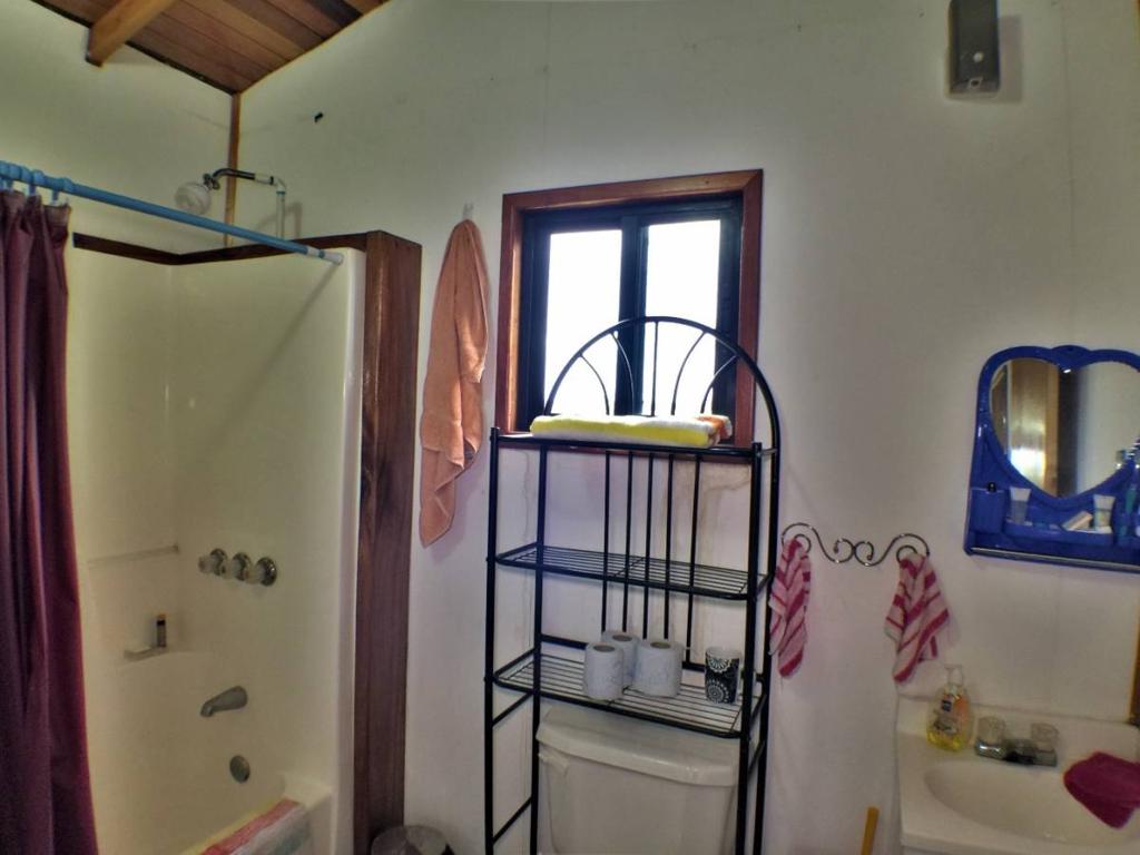 listing image with ID 40823