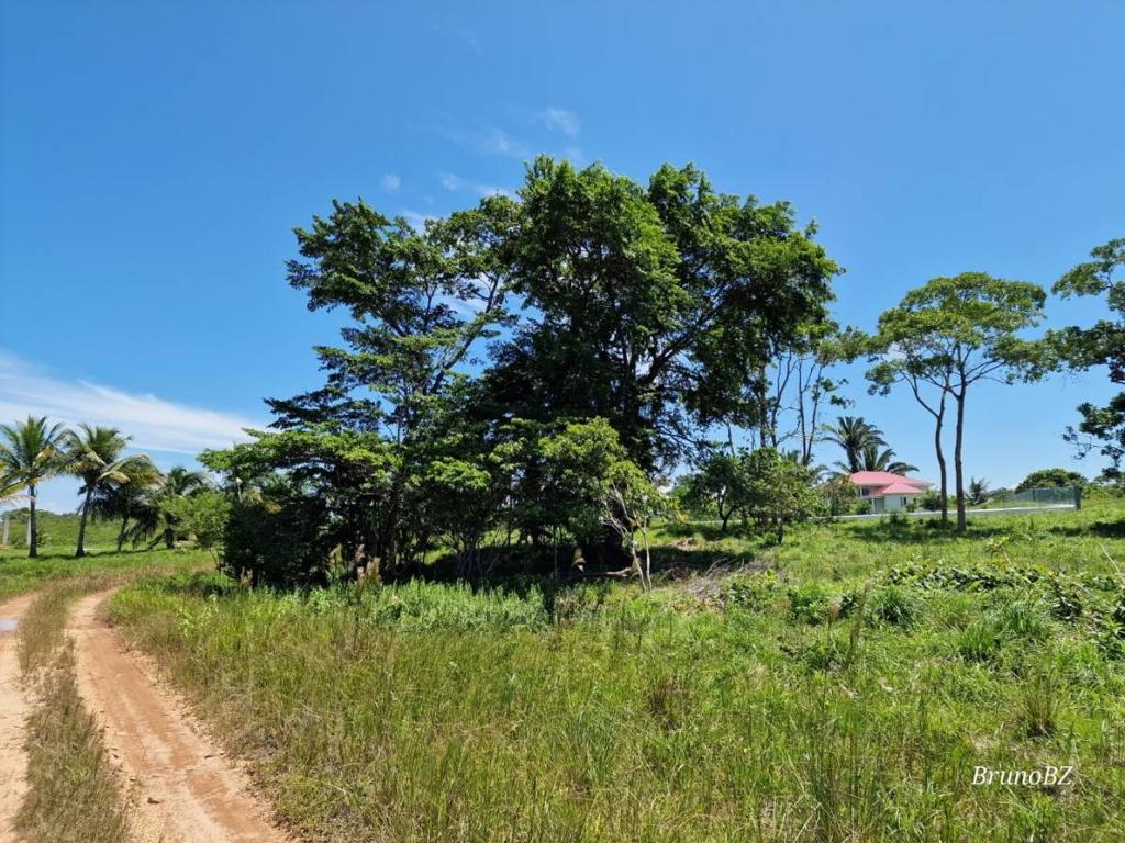 listing image with ID 43649