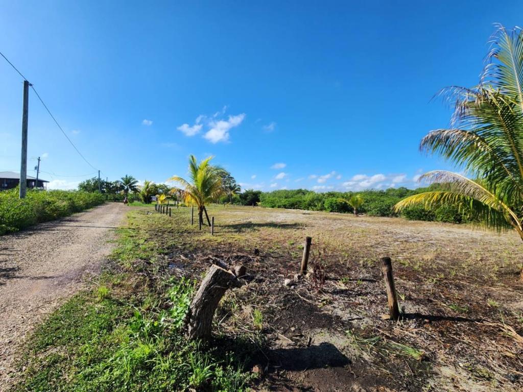 listing image with ID 40582