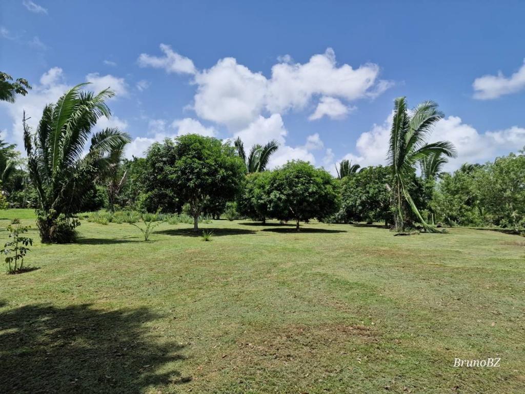listing image with ID 40117