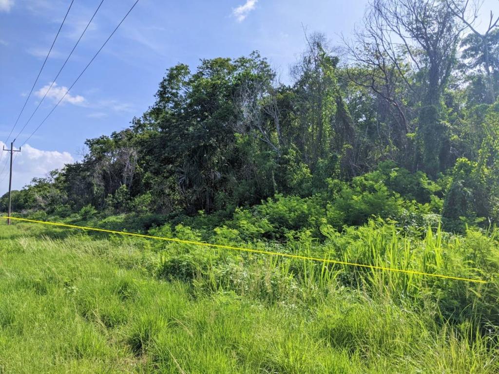 listing image with ID 43586